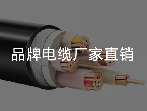 一文看明白矿物电缆BTTZ、BBTRZ、RTTZ/YTTW、NG-A（BTLY）电缆！